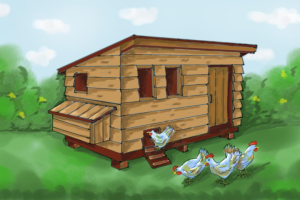 Курятник в деревне