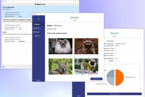 Приложение для тестирования учащихся