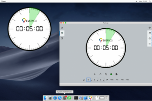 Everyco Timer/Clock/Stopwatch
