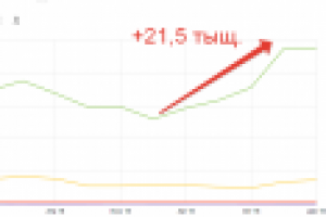 Рост трафика +21500