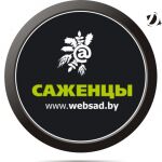 img1004033.png