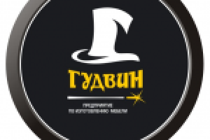 лого "Гудвин"