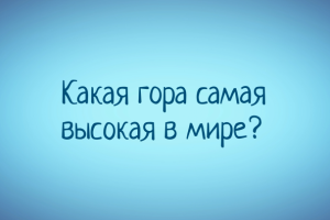 Познавательная инфографика!
