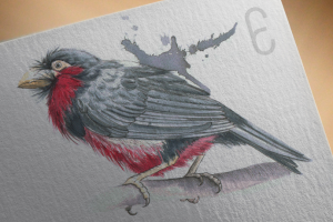 Акварель для этикетки вязальных ниток