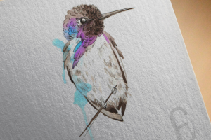 Калипта-акварель