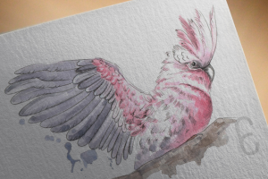 Какаду-акварель