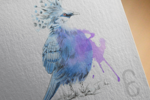 Голубь-акварель