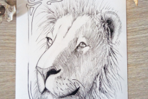 Иллюстрация в графике