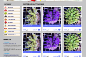 Интернет магазин "MosCorals"