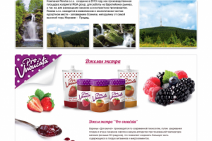 Сайт компании "IRGA GROUP"