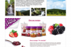 Сайт компании "IRGA GROUP"