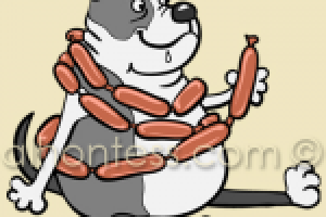 Рисунок собаки для приложения Samsung Galaxy Note