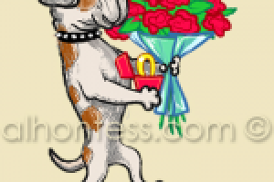 Рисунок собаки для приложения Samsung Galaxy Note