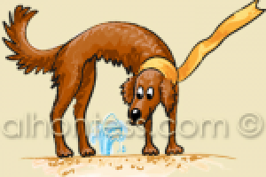 Рисунок собаки для приложения Samsung Galaxy Note