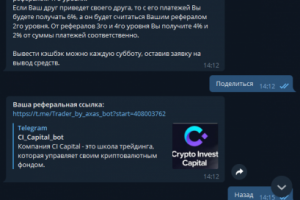 CI_capital_bot