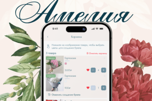 Амелия Обложка