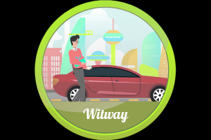 Презентация сервиса по торговле криптовалютой "Witway"