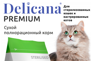 Карточка ВБ сухой корм