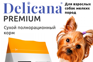 Карточка ВБ сухой корм