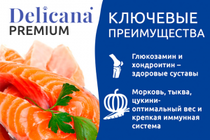 Инфографика Delicana