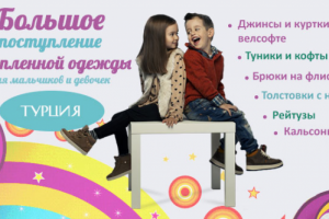 Работа 3231991