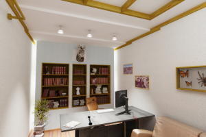 Кабинет коттедж г.Безенчук