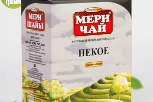 Учебный проект