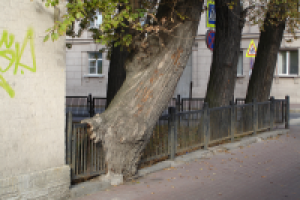 Работа 2963730