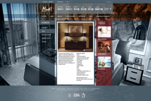 Веб-разработка