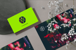 Работа 3881281