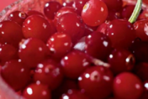 Клюквотерапия