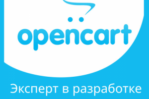 Эксперт в разработке сайтов на OpenCart