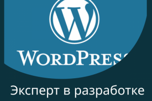 Эксперт в разработке сайтов на WordPress