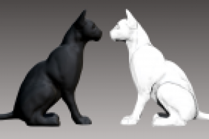 Чёрная кошка, белый кот