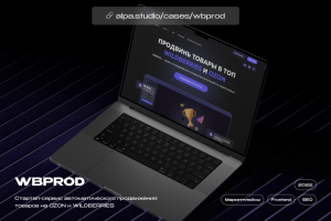 АЛЬПА x WBPROD