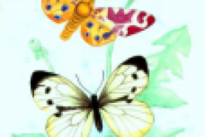 Иллюстрация. Бабочки.