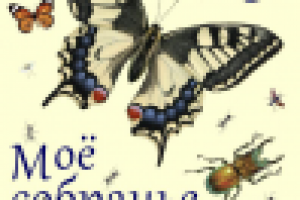 Афиша фасадная