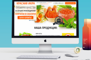 Лендинг под ключ