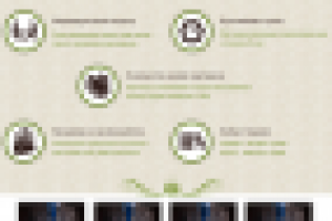 Работа 2354497