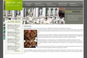 Mercury S.R.L. (вариант2)