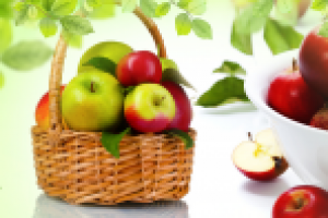 Работа 2054731