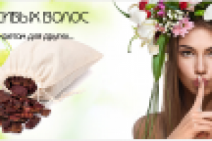 Работа 1554708