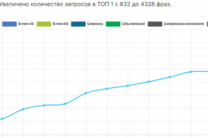 Все мои кейсы по SEO