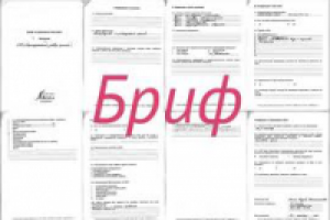 Бриф по акции