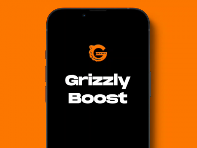 Интернет-магазин «Grizzly Boost»
