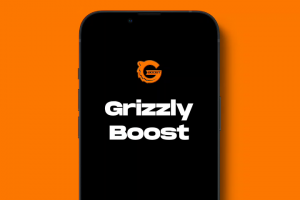 Интернет-магазин «Grizzly Boost»