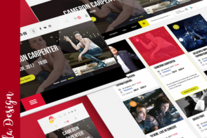 Контрамарка, cервис по продаже театральных билетов