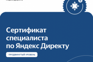 Сертификат Яндекс.Директ 2023 г.