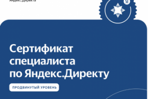 Сертификат Яндекс.Директа 2021 г.