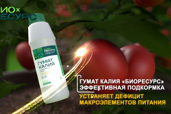 img4436228.png
